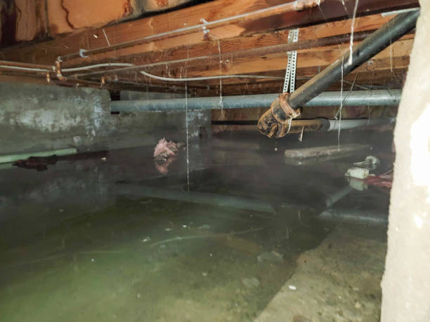 Best Water damage restoration near me  in New Waverly, TX