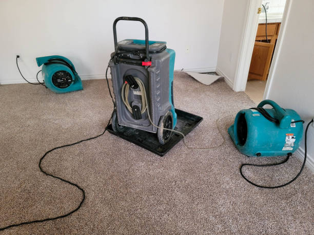 Best Water damage cleanup near me  in New Waverly, TX