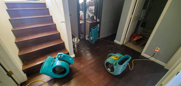 Trusted New Waverly, TX Water damage restoration Experts