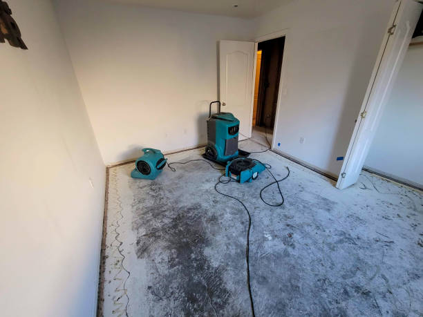 Water damage restoration experts in New Waverly, TX