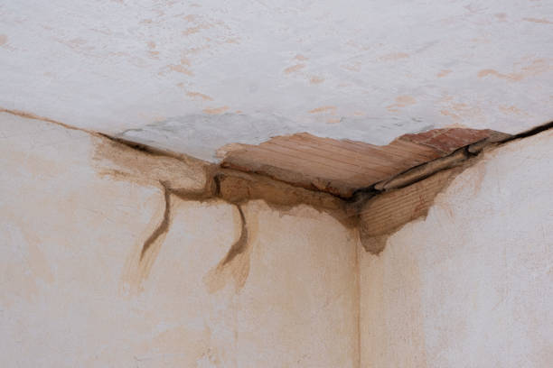 Best Flood restoration services  in New Waverly, TX