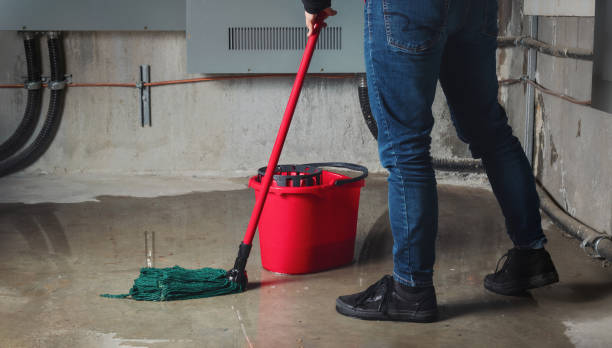 Best Ceiling water damage repair  in New Waverly, TX
