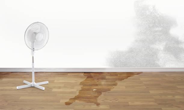 Best Flooded house restoration  in New Waverly, TX