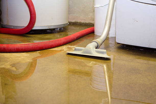 Best 24/7 water damage repair  in New Waverly, TX