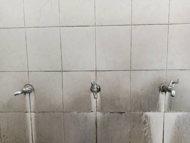 Best 24/7 water damage repair  in New Waverly, TX