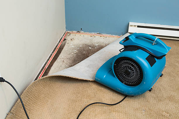  New Waverly, TX Water damage restoration Pros